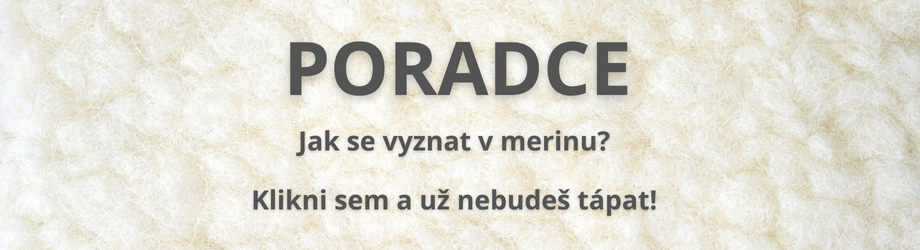Poradce