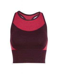 Wmns Meld Zone Long Sport Bra 