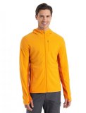 Mens Descender LS Zip Hood, Solar/Earth