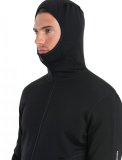 Mens Merino 560 Realfleece EleMtal II LS Zip H, Black