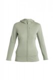 Wmns Merino 260 Quantum IV LS Zip Hoodie, Lichen