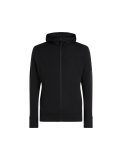 Mens Merino 260 Quantum LS Zip Hoodie, Black
