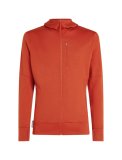 Mens Merino 260 Quantum LS Zip Hoodie, Agate